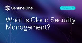 Cloud Security Management