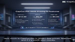 capcut pro subscription cost