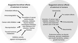 selenium toxicity